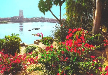 Botanical Garden Private Tour in Aswan